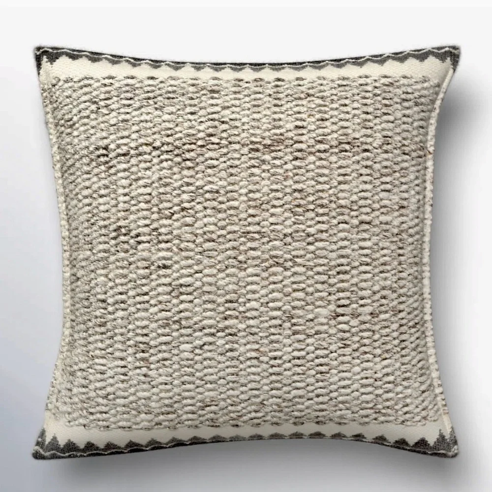 Indoor Outdoor Pillows from Wayfair with Cases and Down Pillow inserts (2 avail)
